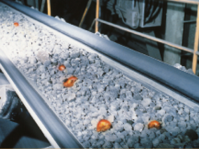 fire resistant conveyor belt